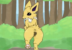 animal_genitalia animal_pussy anus burgercat55 eeveelution female feral forest forest_background fur generation_1_pokemon genitals jolteon looking_at_viewer looking_back nature nature_background nintendo pawpads paws plant pokemon pokemon_(species) pussy shaded simple_background simple_shading solo tree