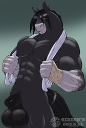 anthro balls boxer boxing_tape equine furry gideon horse hyper male male_only no_humans pose sheath solo towel