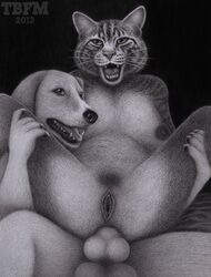 anal anthro balls breasts canine feline fur furry knot pads paws penis pussy tbfm