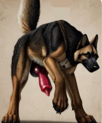 ai_generated big_penis canine canine canine_genitalia canine_penis cloudsmith feral german_shepherd