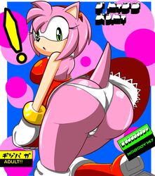 amy rose from sega by nobody147