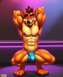 abs ai_generated biceps brown_fur bulge crash_(series) crash_(series) crash_bandicoot eristhebot feet furry gay grin hands_behind_head male_only mammal marsupial muscular nipples on_tiptoes pecs seductive smile solo_male squatting strip_club thong