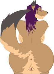 anthro canine female fur furry hair hth_studios long_hair nude rio_davis smile vector