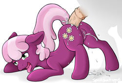 2013 anal anal_sex anus bent_over cheerilee_(mlp) cutie_mark duo earth_pony english_text equine female feral friendship_is_magic fur green_eyes hair horse horsecock male my_little_pony penetration penis pink_hair pony purple_fur pussy ryoshockwave sex straight text tongue two_tone_hair young