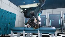 1animal Rule 34 Video