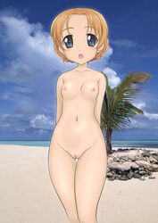 girls_und_panzer orange_pekoe tagme