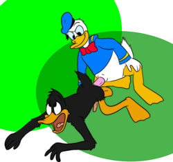 2014 2boys 4_fingers all_fours anal anal_penetration anal_sex anthro anthro_on_anthro anus ass avian barefoot black_eyes bottomless bow bowtie clcoon clothed clothing crossed_eyes crossover daffy_duck disney donald_duck duck erection eyes_rolling_back from_behind fur furry furry_only gay half-dressed happy hat headgear hi_res looking_down looking_up looney_tunes male male_only multiple_males no_humans nude open_mouth penetration penis plain_background sex smile soft_feathers tongue warner_brothers yaoi