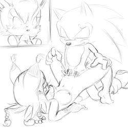 bluechika furry hedgehog mammal nicole_the_lynx sally_acorn sex sonic_(series) sonic_the_hedgehog