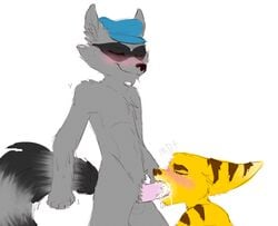 crossover maddogfan male_only ratchet_(ratchet_and_clank) ratchet_and_clank sly_cooper sly_cooper_(series) smooth_fur tagme