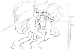 amy_rose anthro bluechika breast_grab double_vaginal feet female furry hedgehog male mammal nude sex shadow_the_hedgehog sonic_(series) sonic_the_hedgehog straight threesome vaginal_penetration