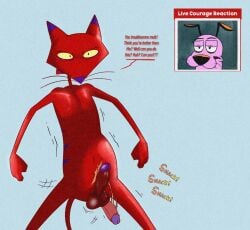 annoyed anthro balls canid canine cartoon_network courage_the_cowardly_dog courage_the_cowardly_dog_(character) dialogue duo erection felid genitals hi_res illegaleel katz_(courage_the_cowardly_dog) live_reaction_(meme) male mammal penis penis_smack shaking_penis sound_effects swinging_penis thrusting unimpressed