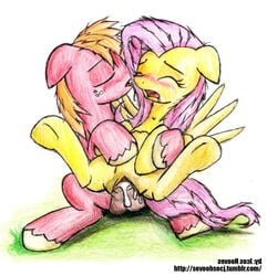 big_macintosh big_macintosh_(mlp) fluttershy_(mlp) friendship_is_magic jcos88 my_little_pony straight_hair