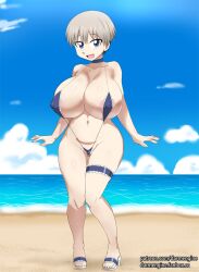 1girls beach darm_engine huge_breasts light-skinned_female looking_at_viewer open_toe_footwear open_toe_shoes sandals smile uzaki-chan_wa_asobitai! uzaki_hana