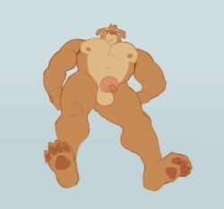 animated anthro ass balls bouncing canid canine crouching feet genitals looking_at_viewer male mammal muscular muscular_anthro muscular_male nipples nude nude_anthro nude_male paws penis simple_background snaftfc solo