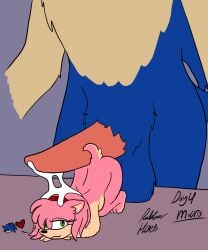 amy_rose animal_genitalia anthro blue_body blue_fur bodily_fluids cum duo eulipotyphlan extreme_size_difference female fur genital_fluids genitals hedgehog hi_res male male/female mammal micro pink_body pink_fur rubberh0es_(artist) sega size_difference sonic_the_hedgehog sonic_the_hedgehog_(series)