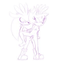 anthro blaze_the_cat bluechika cat feline female fur male mammal silver_the_hedgehog sonic_(series) straight tagme