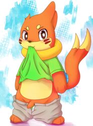 buizel clothes feral front_view fur looking_at_viewer male male_only mouth_hold open_eyes orange_fur pants penis pokemon ruugiaruu shirt solo standing tagme tail