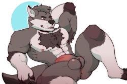 abs anthro armpit_hair ass athletic athletic_male ball_tuft balls blue_eyes blush body_hair broad_shoulders bulge canid canine canis chest_tuft erection flexing fluffy fluffy_tail genitals half-erect hand_behind_head hi_res humanoid_genitalia humanoid_penis kyash-tyur male mammal mephepron muscular muscular_male nude pecs penis pubes raised_leg simple_background sitting sitting_on_ground solo tail thick_thighs tuft wolf