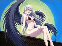 rozen_maiden suigintou tagme