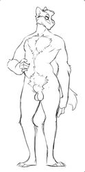 5_fingers animal_genitalia anthro badger balls body_hair chest_hair kyubikun male male_only mammal mustelid pubes sheath sketch solo standing