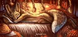 2018 4_toes 5_fingers affian anthro barefoot biped black_claws black_nose brown_fur brown_tail canine claws closed_eyes detailed_background digital_media_(artwork) dipstick_tail erection fennec flashw fluffy fluffy_tail fox fur inner_ear_fluff inside lying male male_only mammal multicolored_fur multicolored_tail nude on_front on_side penis pillow pillow_hug pink_penis sleeping smile solo tan_fur toe_claws toes two_tone_fur two_tone_tail whiskers white_fur white_tail