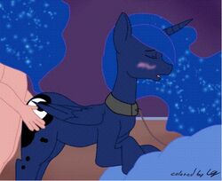 1boy 1girls animal animated female friendship_is_magic human human_male human_on_feral jalm lowgravity male male/female male_human/female_feral male_on_feral my_little_pony princess_luna_(mlp) zoophilia