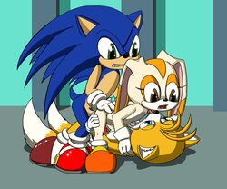 blue_fur cobra_mcjingleballs cream_the_rabbit cub female fur furry furry_tail hedgehog male/female male/female/male mammal miles_tails_prower multiple_tails sonic_(series) sonic_the_hedgehog tail threesome vagina vaginal_penetration