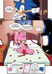amy rose from sega by htdoodles