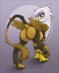 anus ass avian crotchboobs ecmajor friendship_is_magic gilda gilda_(mlp) gryphon looking_back my_little_pony pussy stockings tail