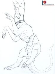 silvanis (character) from mythology by herpydragon