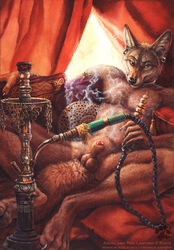 1boy 2012 amon_(rukis) anthro balls blotch bracelet canine collar curtains digitigrade ear_piercing half-closed_eyes hookah jackal jewelry looking_at_viewer lounging male male_only mammal penis penis_tip piercing pillow reclining sheath smile smoke smoking solo spread_legs spreading