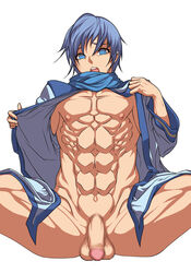 1boy cell_shading censored censored_penis kaito_(vocaloid) kaito_v1 male male_only mosaic_censoring mosaic_censorship pixelated pixelated_penis solo tagme vocaloid