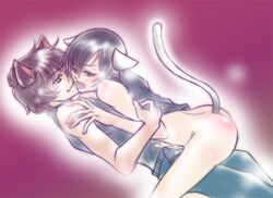 2boys animal_ears cat_ears catboy code_geass gay human lelouch_lamperouge male suzaku_kururugi tagme tail