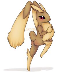 lighthearted lopunny pokemon pokemon_(species) tagme