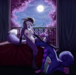 anthro bedroom breasts canid canine canis cunnilingus curtains dingo domestic_dog female fox hi_res husky hybrid male male/female mammal nordic_sled_dog oral paws plant sex spitz thejoyfuldragon tree vaginal_penetration