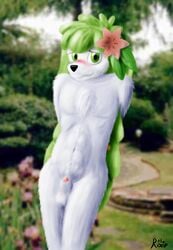 anthro blush blushing canine canine_penis color flower flower_in_hair green_eyes hands_behind_back looking_at_viewer navel penis_peek pokemon pokemon_(species) pokemon_dppt shaymin sheath tagme the_roop white_fur