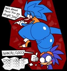 ass ass_focus big_ass black_border blue_body blue_skin blush cave echidna embarrassed looking_at_another looking_at_partner looking_away looking_down mobian_(species) oc pangolin partially_clothed pussy smile snesti sonic_(series) sonic_oc sonic_the_hedgehog_(series) sweat tagme