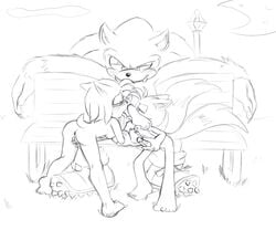 amy_rose bluechika sonic_(series) sonic_the_werehog tails werehog