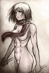 1girls attack_on_titan female female_only mikasa_ackerman solo tagme zundarepon