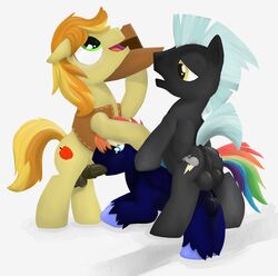 alex_ritter braeburn braeburn_(mlp) earth_pony equine friendship_is_magic fur horse male male_only multiple_males my_little_pony pegasus pony thunderlane_(mlp) white_background yaoi