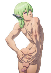 1boy anus ass balls boner colored erection faize_sheifa_beleth foreskin male male_only muscular muscular_male nude penis schizoid solo star_ocean star_ocean_4 tagme toned toned_male uncircumcised