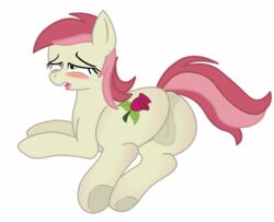 ahe_gao animal animated anus ass blush clitoral_winking clitoris earth_pony equine friendship_is_magic green_eyes hooves my_little_pony pink_hair pussy red_hair roseluck_(mlp) tail two_tone_hair two_tone_tail