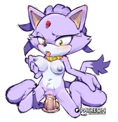 1girls blaze_the_cat blob_feet blush cat_ears cat_tail dildo dildo_in_pussy female female_only fondling_breast forehead_jewel functionally_nude gold_necklace holding_breast holding_own_breast kneeling medium_breasts nude nude_female panties_around_one_leg purple_fur rikoandtako sex_toy shoulder_blush sketch sonic_(series) sonic_the_hedgehog_(series) spread_legs stomach_bulge stomach_deformation tongue_out vaginal_penetration white_background yellow_eyes