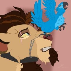1:1 absurd_res avian bird blue_sky_studios chain chained_collar chained_together disney duo facesitting feet felid female feral hayden_(king_hg_21) hi_res jewel_(rio) king_hg_21 larger_male lion looking_pleasured macaw male male/female mammal moan neotropical_parrot pantherine parrot rio_(series) rubbing_vulva sitting sitting_on_another size_difference smaller_female spix's_macaw talons the_lion_king toes true_parrot