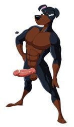 abs anthro balls big_balls big_penis black_body brown_body canid canine canis countershade_face countershade_torso countershading dobermann domestic_dog erection genitals glans hand_on_hip hi_res humanoid_genitalia humanoid_penis kenthenugget male mammal multicolored_body muscular muscular_male nipples nude pecs penis pinscher simple_background smile smirk solo two_tone_body vein veiny_penis white_background