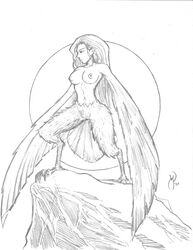 black_and_white harpy michael_powell mythology sketch tagme