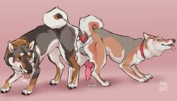 7:4 absurd_res anal anal_knotting anal_orgasm anal_penetration anal_tugging animal_genitalia animal_penis anus ass_to_ass balls bodily_fluids breath canid canine canine_genitalia canine_penis canis collar cum cum_while_penetrated darkened_balls darkened_genitalia domestic_dog duo ejaculation erection fen_(hakudoge) feral feral_on_feral feral_penetrated feral_penetrating feral_penetrating_feral fur genital_fluids genitals hakudoge hands-free hi_res intraspecies knot knot_in_ass knot_root knot_tugging knotted_penis knotting male male/male male_penetrated male_penetrating male_penetrating_male mammal orgasm orifice_tugging panting penetration penile penile_penetration penis penis_backwards penis_in_ass quadruped red_collar reverse_doggystyle sex sheath shiba_inu shikoku_ken spitz tongue tongue_out