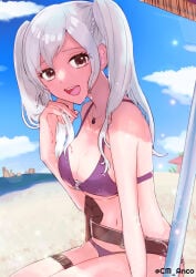 1girls :d alluring bare_arms bare_shoulders beach big_breasts bikini cm_anco commentary_request female female_only fire_emblem fire_emblem_awakening fire_emblem_heroes fire_emblem_warriors grey_hair high_res intelligent_systems long_hair looking_at_viewer navel nintendo o-ring o-ring_bikini o-ring_top ocean official_alternate_costume open_mouth outside purple_bikini robin_(fire_emblem) robin_(fire_emblem)_(female) robin_(summer)_(fire_emblem)_(female) sideboob smile solo stomach swimsuit thighs twin_tails under_boob