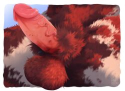 anthro balls big_balls big_penis border close-up erection felid feline feral fur genitals hi_res huge_balls huge_penis humanoid_genitalia humanoid_penis male mammal multicolored_body multicolored_fur penis red_body red_fur rockyhorns solo vein veiny_penis white_body white_border white_fur