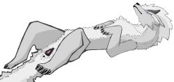 animal_genitalia animal_vulva canine_genitalia canine_nose canine_vulva claws dragon female female_only feral fur furred_dragon furred_scalie genitals grey_body grey_fur hi_res horn long_ears long_tail looking_at_viewer lying m222 mythological_creature mythological_scalie mythology on_back paws presenting presenting_vulva purple_eyes scalie solo tail tail_anus vulva white_body white_fur